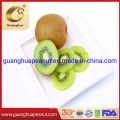 Good Quality and Hot Sale Dried Kiwi